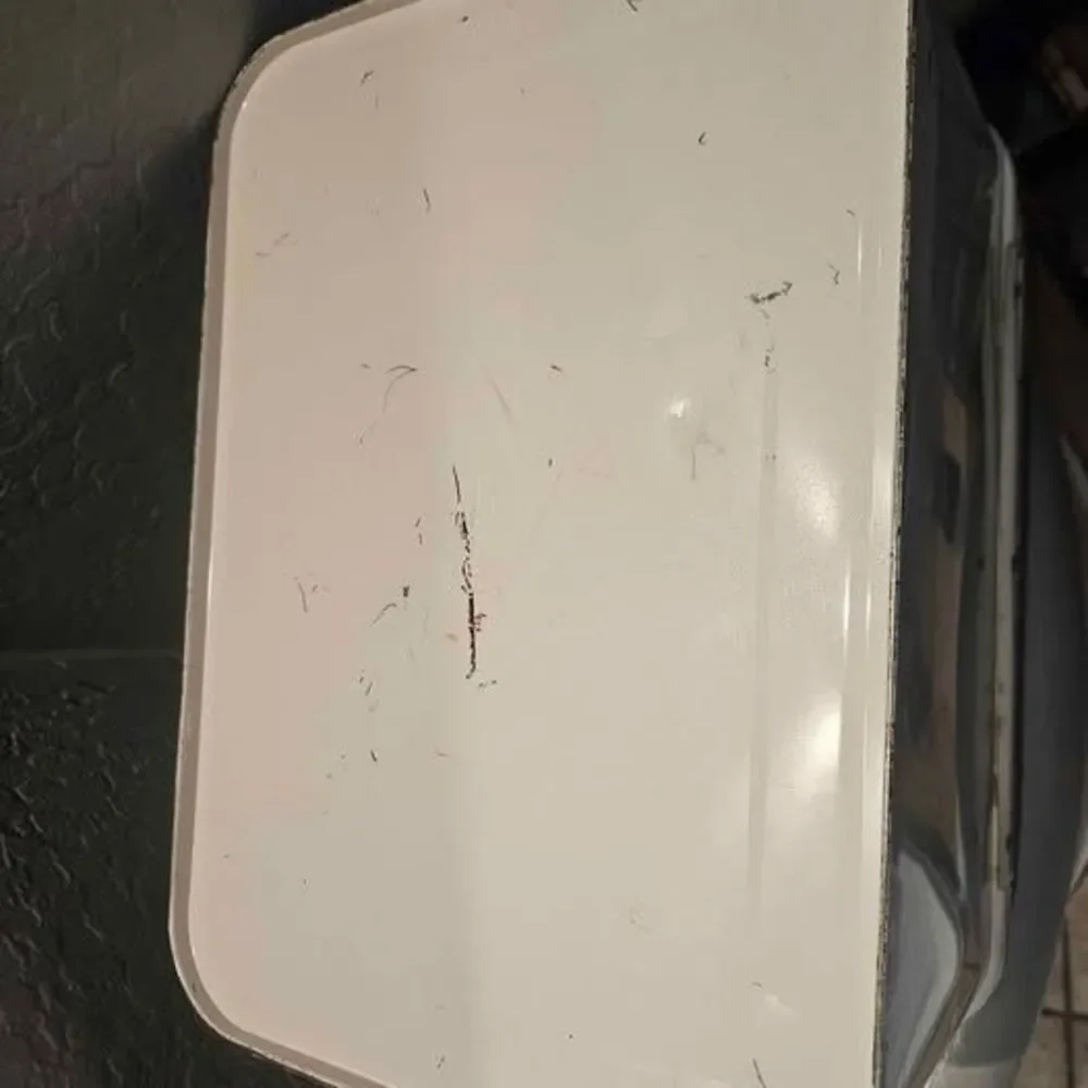 Vintage 1950s Rustic Painted Vinted Floral Metal Bread Box Minor Dent and Rust